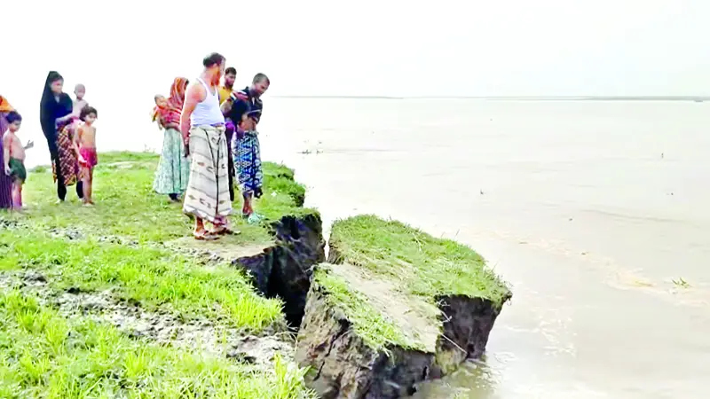পদ্মা-মহানন্দার ভাঙনে বিলীন হচ্ছে ঘরবাড়ি পদ্মা-মহানন্দার ভাঙনে বিলীন হচ্ছে ঘরবাড়ি