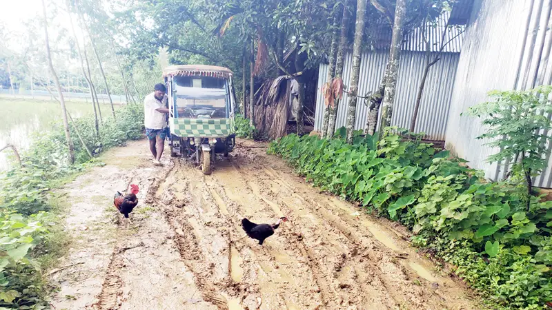 নালিতাবাড়ীতে তিন কিমি সড়কে ভোগান্তি নালিতাবাড়ীতে তিন কিমি সড়কে ভোগান্তি