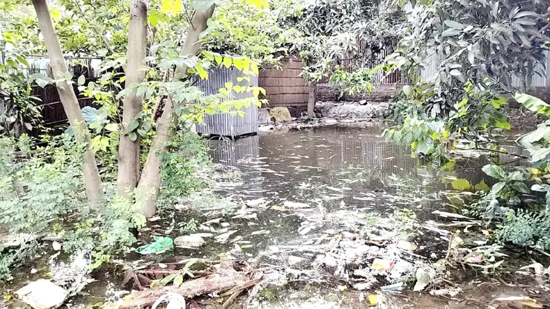 বালুর চাতালের পানিতে জলাবদ্ধতা, দুর্ভোগে শতাধিক মানুষ বালুর চাতালের পানিতে জলাবদ্ধতা, দুর্ভোগে শতাধিক মানুষ