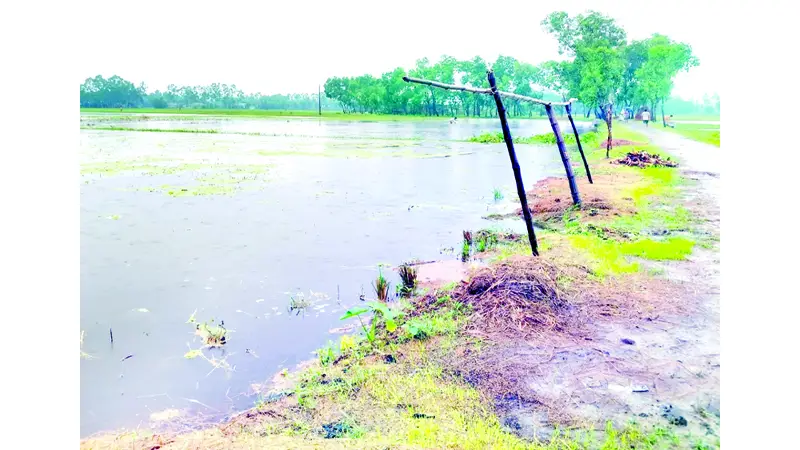 উত্তরাঞ্চলে অতিভারি বৃষ্টিতে খাল-বিল, নদ-নদীতে পানি বাড়ছে উত্তরাঞ্চলে অতিভারি বৃষ্টিতে খাল-বিল, নদ-নদীতে পানি বাড়ছে