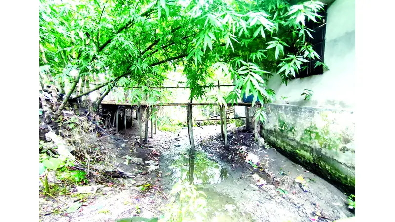 সাটুরিয়ায় খাল দখলের মহোৎসব সাটুরিয়ায় খাল দখলের মহোৎসব