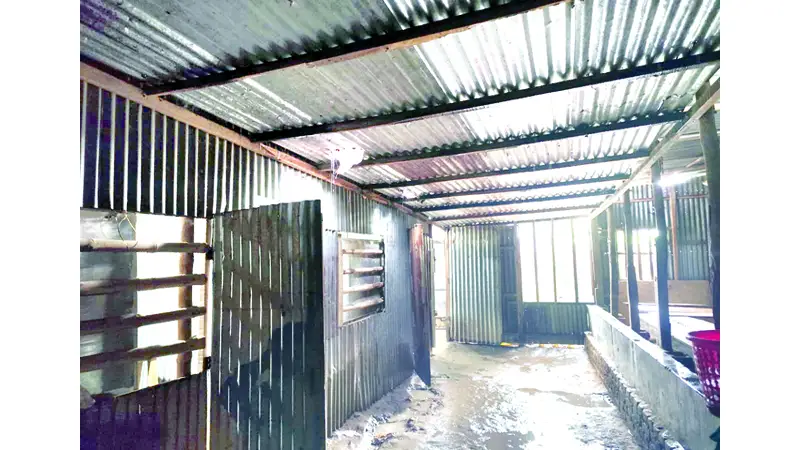 শিক্ষা প্রতিষ্ঠানে নাজুক অবকাঠামো দুর্বিষহ পাঠদান