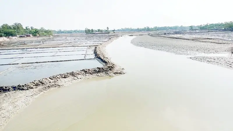 হারিয়ে যাচ্ছে পিলটকাটা খাল হারিয়ে যাচ্ছে পিলটকাটা খাল