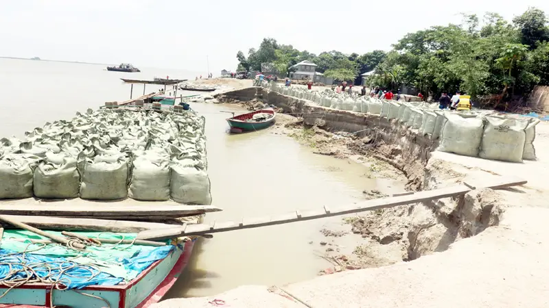শরীয়তপুরে বাঁধের পাশে বালু তোলার উদ্যোগ শরীয়তপুরে বাঁধের পাশে বালু তোলার উদ্যোগ