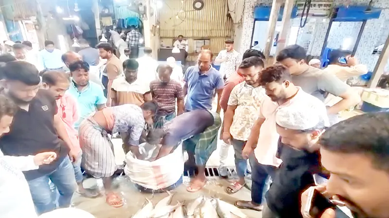 ইলিশের চড়া দামে বাজার ঘুরে খালি হাতে যাচ্ছে ক্রেতা ইলিশের চড়া দামে বাজার ঘুরে খালি হাতে যাচ্ছে ক্রেতা