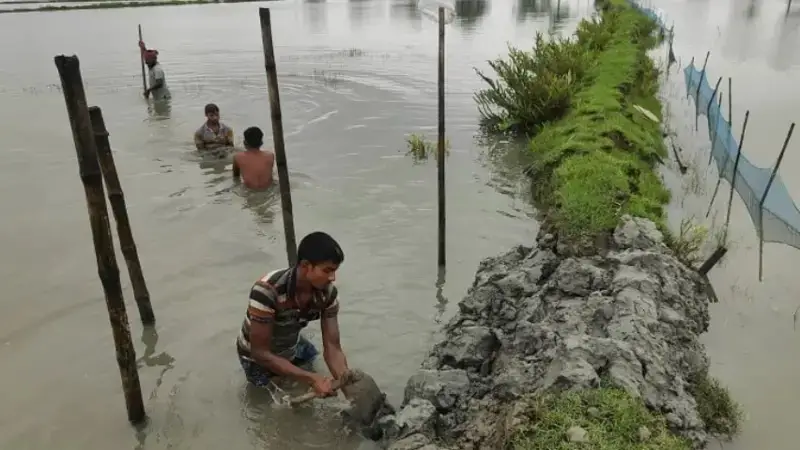 বাগেরহাটে তলিয়ে গেছে  ৯ শতাধিক মৎস্যঘের