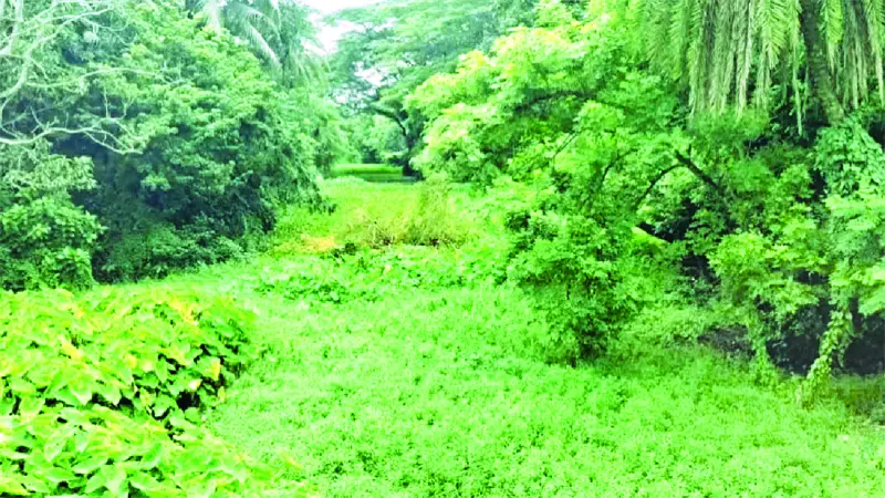 দখল-দূষণে ব্যবহারের অনুপযোগী 