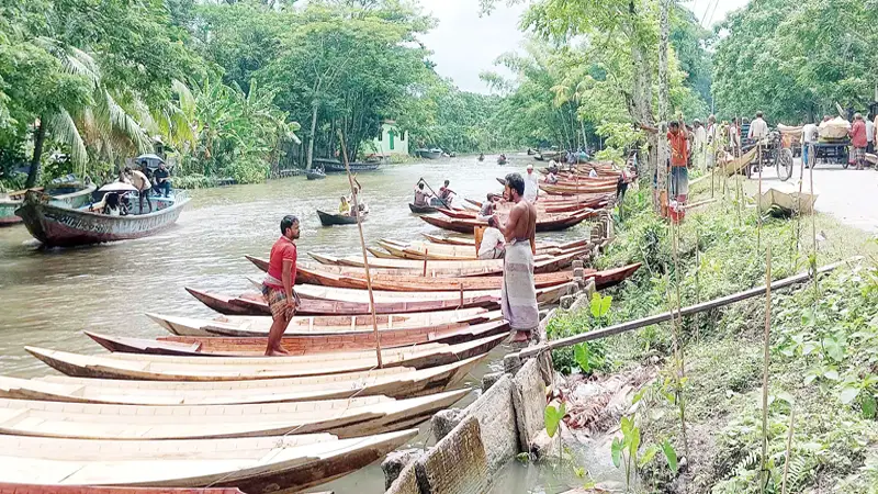 নেছারাবাদে জলে-ডাঙ্গায় নৌকার প্রাচীন হাট নেছারাবাদে জলে-ডাঙ্গায় নৌকার প্রাচীন হাট
