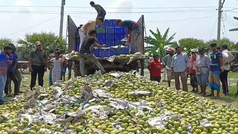 সাতক্ষীরায় রাসায়নিক মিশ্রিত এক ট্রাক আম ধ্বংস সাতক্ষীরায় রাসায়নিক মিশ্রিত এক ট্রাক আম ধ্বংস