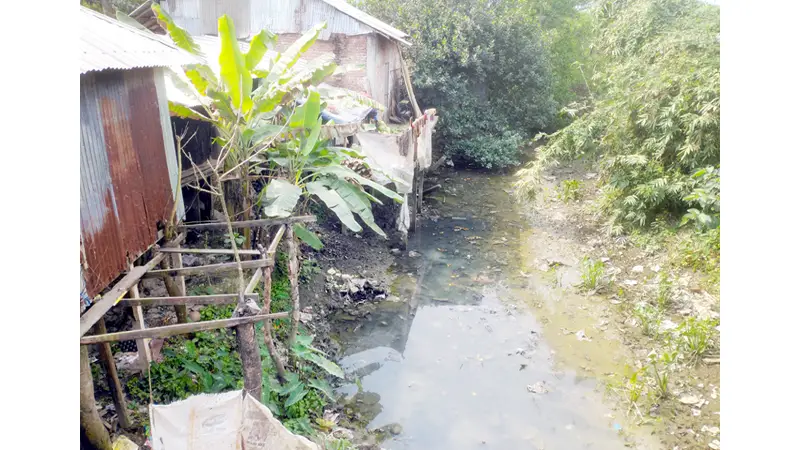দখল-দূষণে মুরাদিয়া নদী এখন মরা খাল দখল-দূষণে মুরাদিয়া নদী এখন মরা খাল
