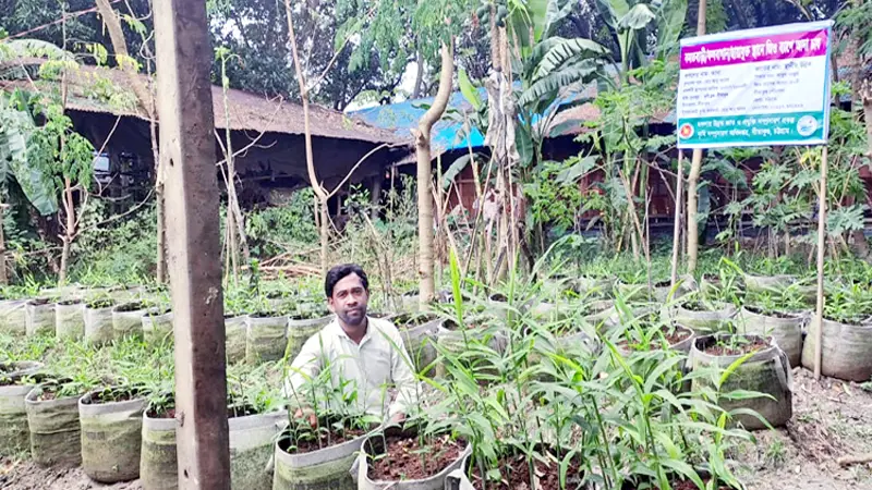 বস্তায় আদা চাষ ॥ সীতাকুণ্ডে কৃষিতে নতুন সংযোজন