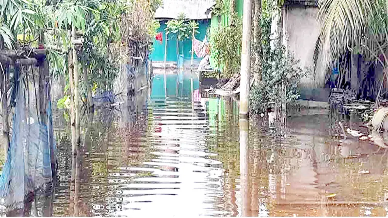 নোয়াখালীতে এখনো পানিবন্দি মানুষ নোয়াখালীতে এখনো পানিবন্দি মানুষ