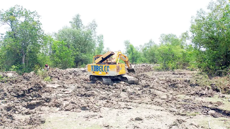 বরগুনায় বন কেটে মৎস্য ঘের তৈরির মহোৎসব
