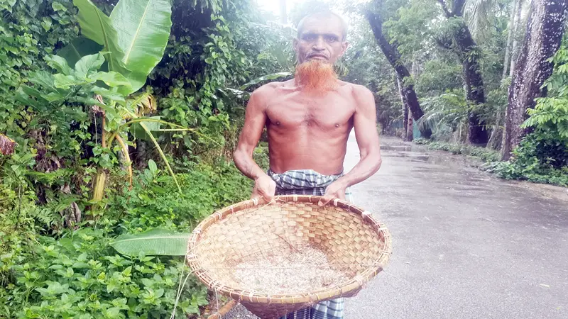 লাল পিঁপড়ার ডিম বিক্রি করে চলে জীবিকা লাল পিঁপড়ার ডিম বিক্রি করে চলে জীবিকা