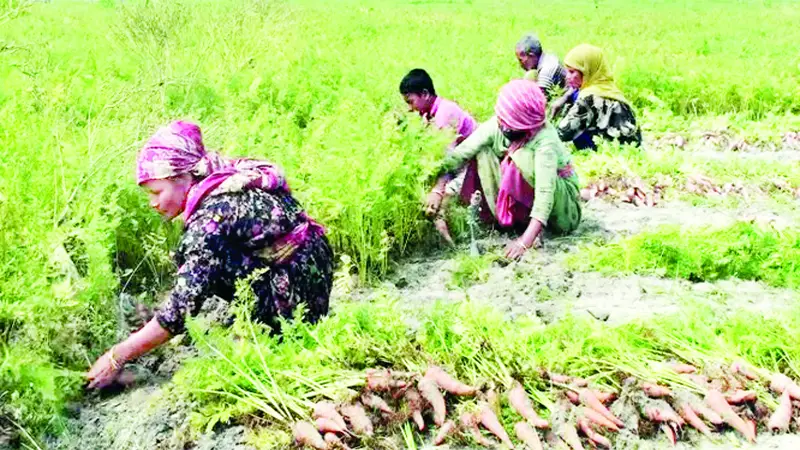 যমুনার চরে জীবন হাসে যমুনার চরে জীবন হাসে