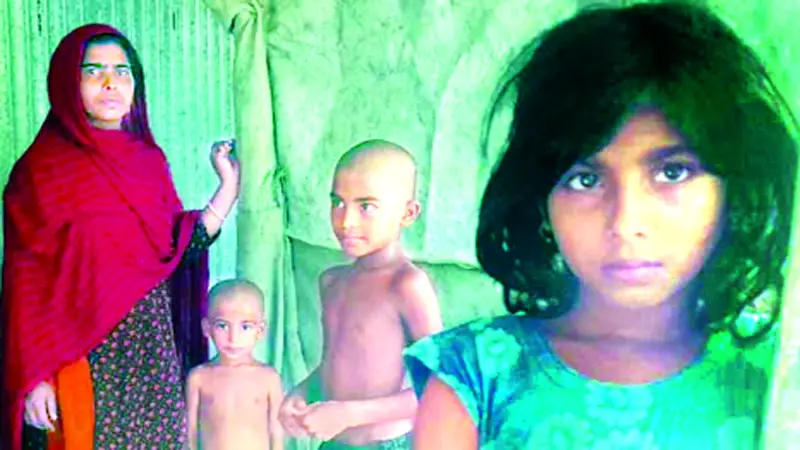 শাহীনূরের জীবন শাহীনূরের জীবন