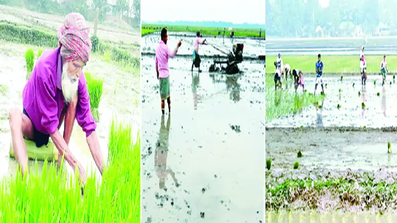জীবিকার কাছে হার মানছে উত্তরাঞ্চলের কনকনে ঠান্ডা জীবিকার কাছে হার মানছে উত্তরাঞ্চলের কনকনে ঠান্ডা