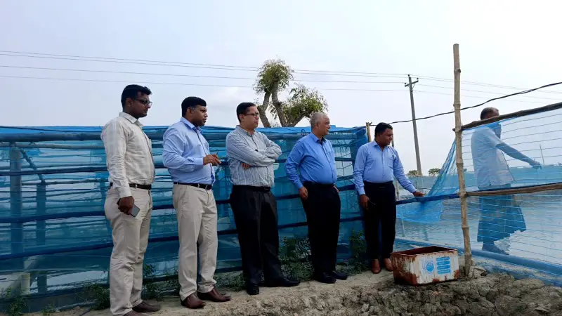 কালিগঞ্জে মাটির পুকুরে গলদা পি এল উৎপাদন প্রদর্শনী পরিদর্শনে অতিরিক্ত সচিব কালিগঞ্জে মাটির পুকুরে গলদা পি এল উৎপাদন প্রদর্শনী পরিদর্শনে অতিরিক্ত সচিব