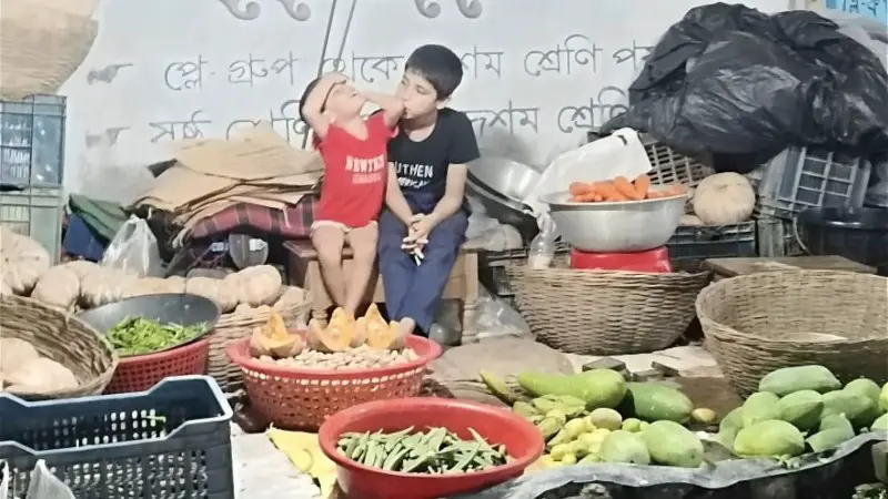 শেরপুরের নকলায় শিশুর কাঁধে অবর্ণনীয় গুরুদায়িত্ব!