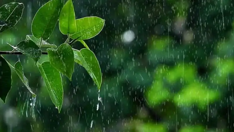 ঢাকাসহ সব বিভাগেই হতে পারে বৃষ্টি ঢাকাসহ সব বিভাগেই হতে পারে বৃষ্টি