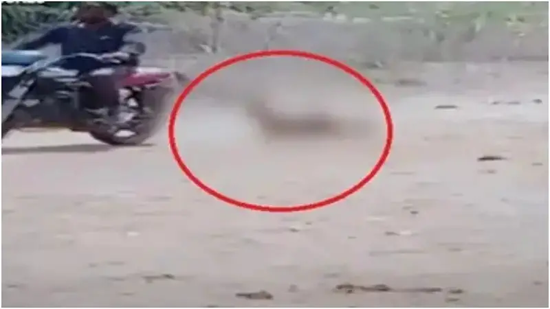 স্ত্রীকে শাস্তি দিতে বাইকের পেছনে বেঁধে টেনেহিঁচড়ে নিয়ে গেলেন স্বামী স্ত্রীকে শাস্তি দিতে বাইকের পেছনে বেঁধে টেনেহিঁচড়ে নিয়ে গেলেন স্বামী