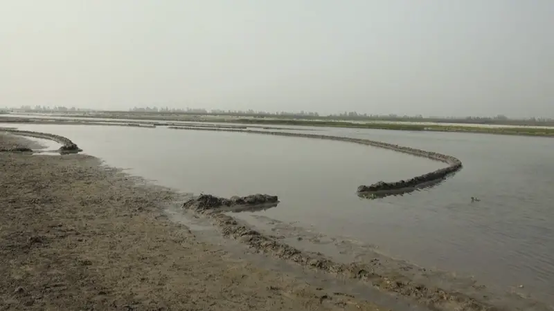 কুড়িগ্রামে পানি শুন্য দুই শতাধিক খাল ও বিল, জীবন-জীবিকা বিপর্যস্ত কুড়িগ্রামে পানি শুন্য দুই শতাধিক খাল ও বিল, জীবন-জীবিকা বিপর্যস্ত
