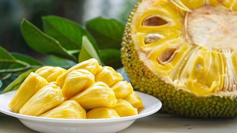 কাঁঠাল খেয়ে বাস চালানোয় ৩ চালক গ্রেফতার 
