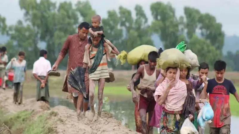 দালালেরা পথ চিনিয়ে রোহিঙ্গাদের নিয়ে আসছে বাংলাদেশে দালালেরা পথ চিনিয়ে রোহিঙ্গাদের নিয়ে আসছে বাংলাদেশে