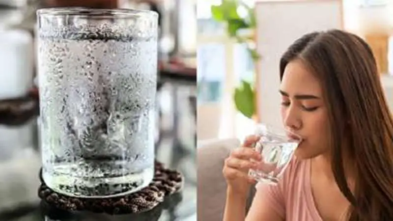 ঠান্ডা পানি পান করা ক্ষতিকর নাকি উপকারি? যা বলছেন চিকিৎসকরা ঠান্ডা পানি পান করা ক্ষতিকর নাকি উপকারি? যা বলছেন চিকিৎসকরা
