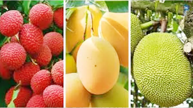 ফলকর্মী ও কৃষি অর্থনীতি