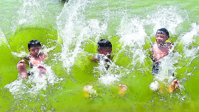 কৃষিতে বিঘ্ন কৃষিতে বিঘ্ন