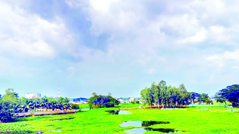 বর্ষা নামুক... বর্ষা নামুক...