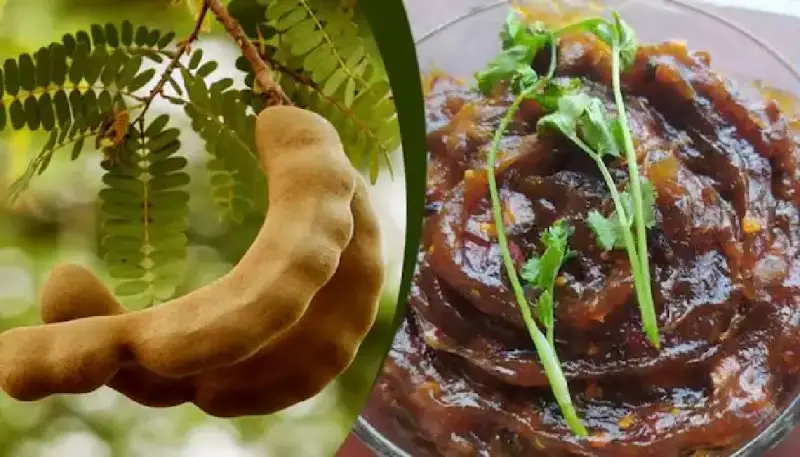 তেঁতুল খেলে রক্ত পানি হয় — কতটা সত্য? তেঁতুল খেলে রক্ত পানি হয় — কতটা সত্য?