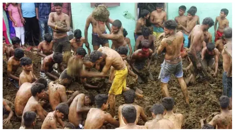 গোবর নিয়ে লড়াই হয় ভারতের যে গ্রামে গোবর নিয়ে লড়াই হয় ভারতের যে গ্রামে