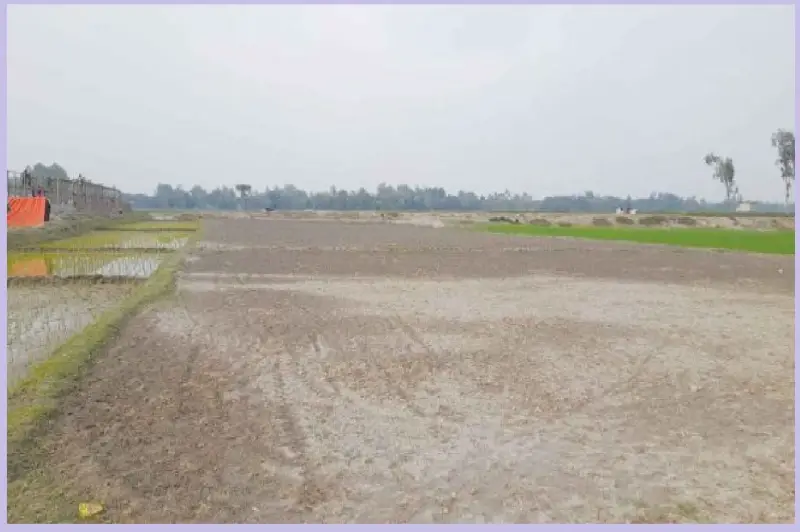 বেদখল জমি উদ্ধার এখন আরও সহজ, বদলে গেছে আইনি প্রক্রিয়া বেদখল জমি উদ্ধার এখন আরও সহজ, বদলে গেছে আইনি প্রক্রিয়া