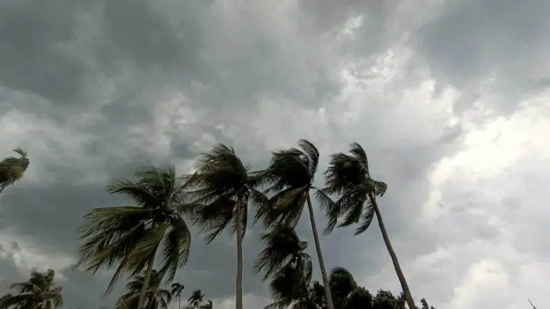 আজ যেমন থাকবে দিনের আবহাওয়া আজ যেমন থাকবে দিনের আবহাওয়া