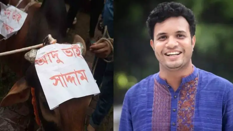 গরুর নাম ‘আদু ভাই সাদ্দাম’, আনা হলো ঢাবির হলে খাওয়ার জন্য গরুর নাম ‘আদু ভাই সাদ্দাম’, আনা হলো ঢাবির হলে খাওয়ার জন্য