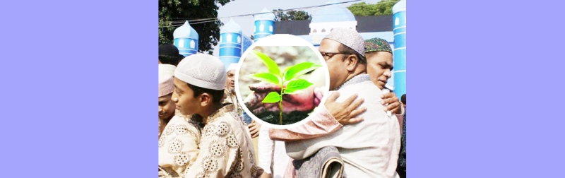 উৎসবে অবকাশে বৃক্ষরোপণ উৎসবে অবকাশে বৃক্ষরোপণ
