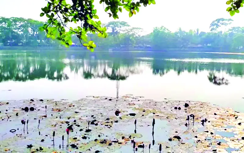 একদিকে পূজা-অর্চনা, অন্যদিকে নামাজ- সম্প্রীতির প্রতীক একদিকে পূজা-অর্চনা, অন্যদিকে নামাজ- সম্প্রীতির প্রতীক
