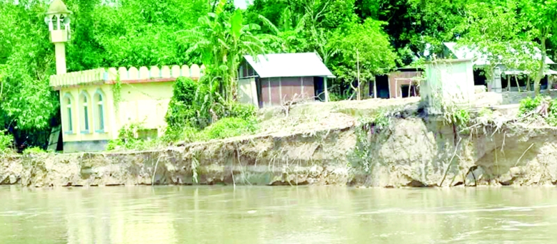 মির্জাপুরে নদীর ভাঙনে বিলীন হচ্ছে বসতি মির্জাপুরে নদীর ভাঙনে বিলীন হচ্ছে বসতি