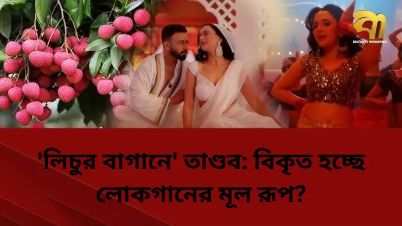 তাণ্ডব সিনেমার ‘লিচুর বাগানে’ গান : লোকসঙ্গীতের বিকৃতি তাণ্ডব সিনেমার ‘লিচুর বাগানে’ গান : লোকসঙ্গীতের বিকৃতি