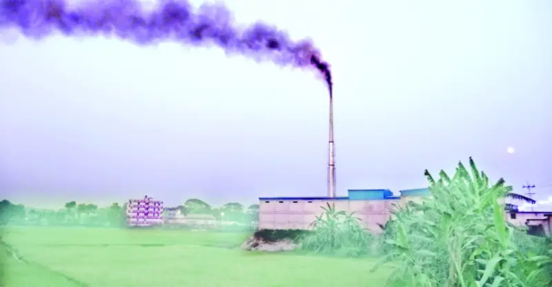 ময়মনসিংহে ফসলি জমিতে সিসা তৈরির কারখানা! ময়মনসিংহে ফসলি জমিতে সিসা তৈরির কারখানা!