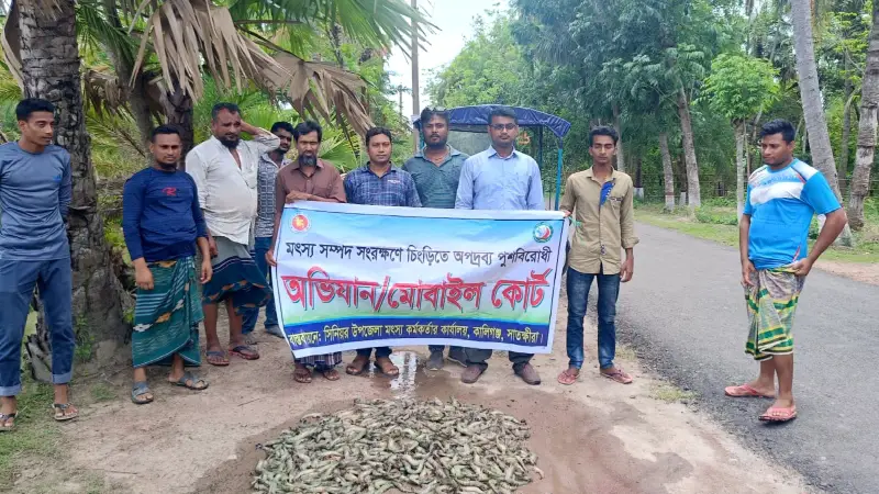 কালিগঞ্জে ৪৫ কেজি পুশকৃত চিংড়ি ধ্বংস ও ১৭ হাজার টাকা জরিমানা কালিগঞ্জে ৪৫ কেজি পুশকৃত চিংড়ি ধ্বংস ও ১৭ হাজার টাকা জরিমানা