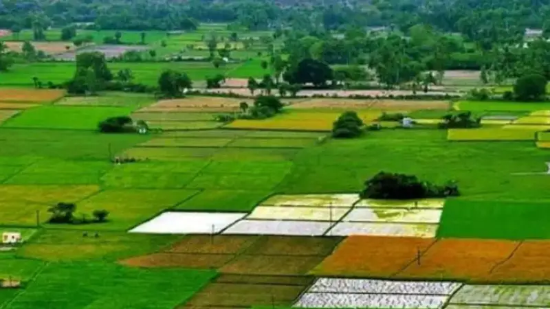 জমির হালনাগাদ রেকর্ডে ভুল হলে যা করবেন জমির হালনাগাদ রেকর্ডে ভুল হলে যা করবেন