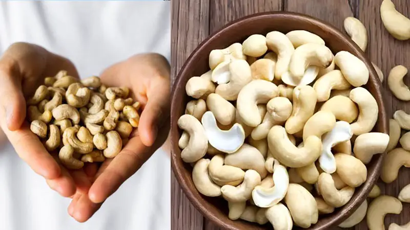 কাজু বাদাম কেন খাবেন ? কাজু বাদাম কেন খাবেন ?
