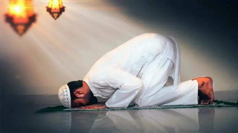 নামাজ না পড়লে রোজার সওয়াব পাওয়া যাবে? নামাজ না পড়লে রোজার সওয়াব পাওয়া যাবে?