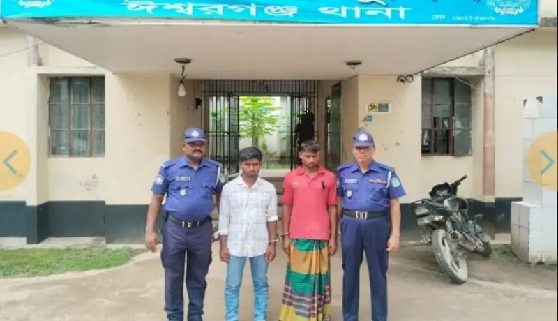 ময়মনসিংহে ভাতিজিকে তুলে নিয়ে ধর্ষণ, চাচাসহ গ্রেপ্তার ২ ময়মনসিংহে ভাতিজিকে তুলে নিয়ে ধর্ষণ, চাচাসহ গ্রেপ্তার ২