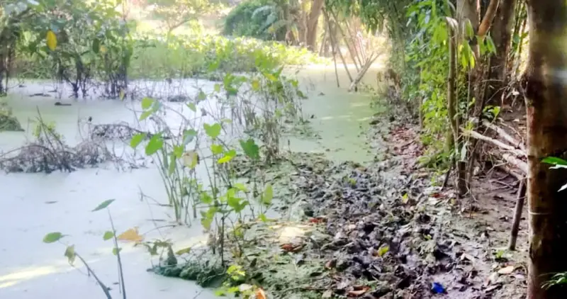 শিলাকোঠায় জলাবদ্ধতায় জনদূর্ভোগ চরমে শিলাকোঠায় জলাবদ্ধতায় জনদূর্ভোগ চরমে