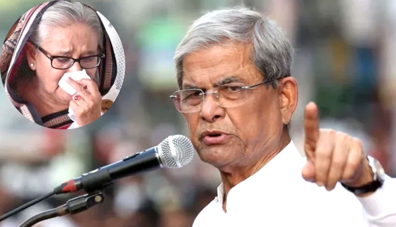 দেড় যুগেরও বেশি সময় ধরে দেশে গণহত্যা চালানোয় শেখ হাসিনাকে কখনো ক্ষমা করা যাবে না দেড় যুগেরও বেশি সময় ধরে দেশে গণহত্যা চালানোয় শেখ হাসিনাকে কখনো ক্ষমা করা যাবে না