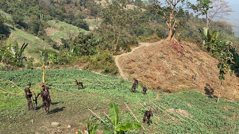 ১১ কোটি টাকার পপি ক্ষেত উচ্ছেদ